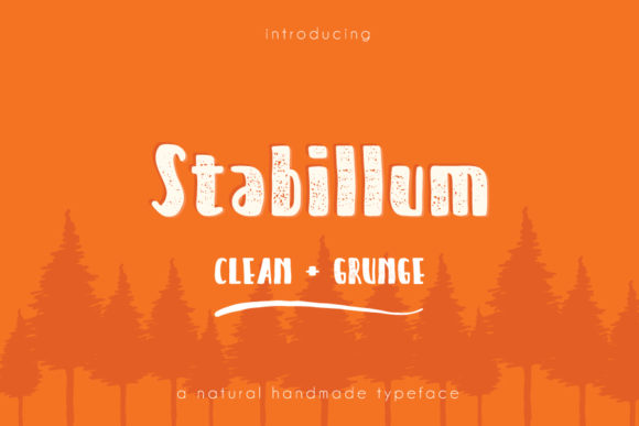 Stabillum: A Joyful Display Font for Your Brand