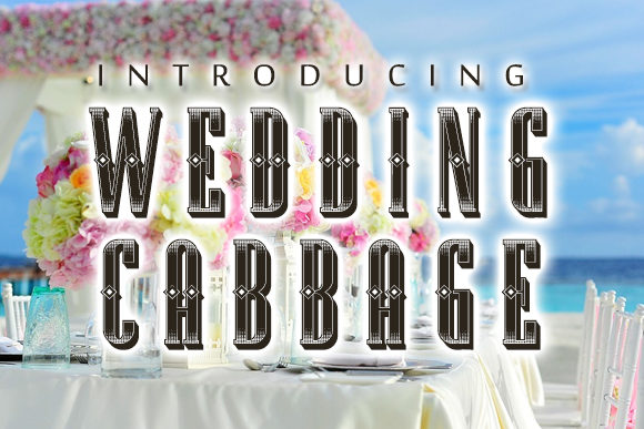 Wedding Cabbage: A Retro 3D Display Font for Branding